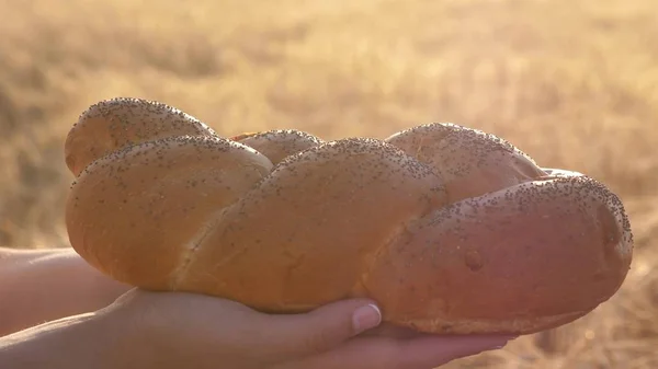 wheat grains fall on bread in hands of girl, over a field of wheat. Slow motion. wheat sypytsya on delicious loaf with poppy seeds. tasty loaf of bread on the palms. rye bread over the ears of corn