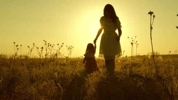 母と赤ん坊は公園で休んでいる。幸せな子供時代の概念です幼い娘と母親が手をつないで畑を歩き回る赤ちゃんはママの手を握ってる子供のいる幸せな家族は街の外で夜歩く. — ストック動画