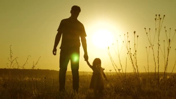 Child holds fathers hand. dad and baby are resting in the park. child plays with his father. little daughter and dad walk around field holding hands. family walks in evening out of town. — 비디오