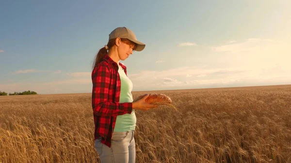 Tasty piece of bread on the palms of the baker. Fresh rye bread is held in the hands of a farmer. loaf of wheat bread in womans hands, over a field of wheat. — ストック写真