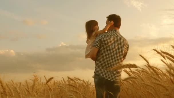 农夫抱着一个小女儿穿过一片麦田。快乐的孩子和父亲正在成熟的小麦地里玩耍。男婴和爸爸在野外旅行。孩子和父母在大自然中玩耍. — 图库视频影像