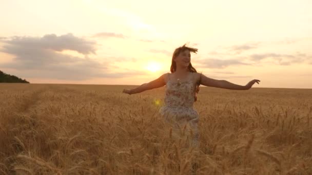 Щаслива дівчина крутиться в танцях у повільному русі на полі, торкаючись вух пшениці. Красива вільна жінка, танцює в теплому сонячному світлі на пшеничному полі на фоні заходу сонця. дівчина подорожує . — стокове відео