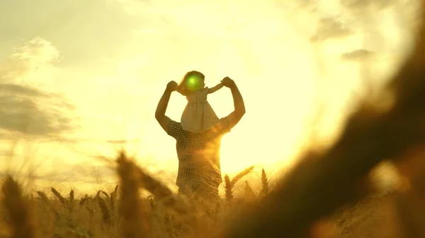 The child and parent play in nature. happy family and childhood concept. Slow motion. little daughter on fathers shoulders. baby boy and dad travel on a wheat field. — Φωτογραφία Αρχείου