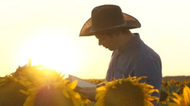 agronomist walks in a flowering field. farmer man osamatrivaet flowers and sunflower seeds. concept of agricultural business. Businessman with tablet examines his field with sunflowers.
