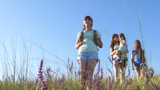 Безкоштовні жінки-мандрівниці спускаються з гори вздовж квіткового поля. Пішохідна дівчинка. жінки туристи подорожують на заході сонця. мама і дочки з рюкзаками спускаються на пагорб на сонці. туристична командна робота — стокове відео