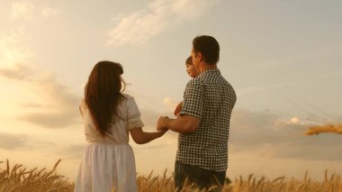 Anne ve babanın kollarında mutlu bir bebek. Küçük kız, baba ve anne buğday tarlasında oynuyorlar. Bebek ailesiyle birlikte arazide seyahat ediyor. Çocuk ve ebeveyn oynuyorlar. Mutlu aile ve çocukluk kavramı