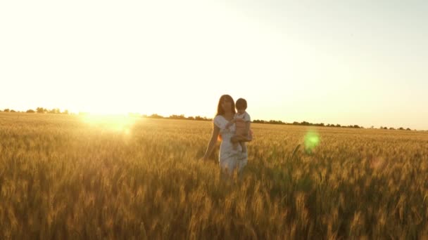 Konzept einer glücklichen Familie und Kindheit. Baby in den Armen der Mutter spielt und lächelt auf dem Feld mit Weizen. glücklich Tochter mit ihrer Mutter gehen über Feld von reifem Weizen, das Baby zerknüllt. — Stockvideo