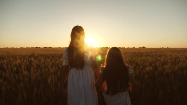 Mulheres livres viajantes desfrutar do pôr do sol sobre um campo de trigo. Mamãe gentilmente abraça a filha no fundo de um belo pôr do sol. Filha adulta nos braços de sua mãe no campo ao sol . — Vídeo de Stock