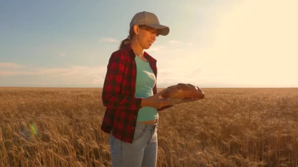 農家のパン屋、小麦畑で手にパンを持つ女性。パンを持つ菓子屋の女の子。成熟した穀物の分野の実業家。農業の概念. — ストック動画