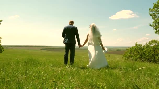 Zamilovaný pár držící se za ruce a obdivující krásnou oblohu na zelené louce. šťastná rodina cestuje v létě v krásném parku. — Stock video