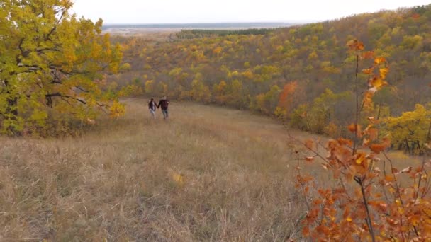 Travelers in fall climb hill, holding out each others hands. teamwork. concept of sports tourism. tourists. Climbers help a friend to rise, extending a helping hand to a friend. two tourists on top . — Stock Video