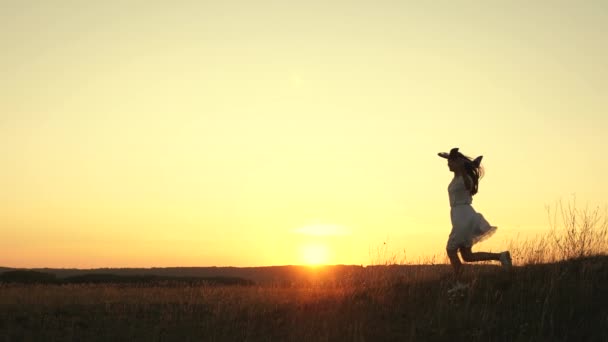 Children in the meadow with an airplane in hand. Dreams of flying. The concept of a happy childhood. Two girls play with a toy airplane on the field. Silhouette of children playing on an airplane. — Stock Video