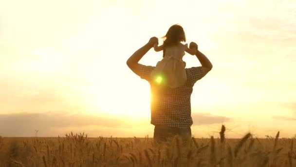 La piccola figlia felice su spalle di padri in campo su uno sfondo di tramonto giallo. bambino e papà viaggiano su un campo di grano. bambino e genitore giocano in natura. famiglia felice e concetto di infanzia. — Video Stock