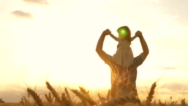 El niño y los padres juegan en la naturaleza. familia feliz y concepto de la infancia. En cámara lenta. Hijita sobre hombros paternos. niño y papá viajan en un campo de trigo . — Vídeo de stock