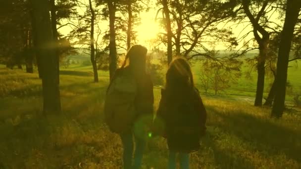 Gelukkige vrouwen op vakantie reizen door bossen met rugzak, steek hun handen op. Wandelaar Meisjes teamwork. vrije reiziger meisjes heffen hun handen op, vieren de overwinning en genieten van het landschap, in de zon. — Stockvideo