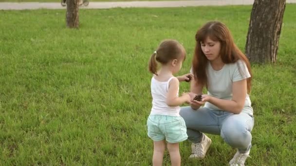 小女儿和妈妈在草坪上的公园里玩耍，收集球果。小孩走在绿草上。妈妈给她的孩子看松果。幸福童年的概念。幸福的家庭是带着孩子散步的. — 图库视频影像