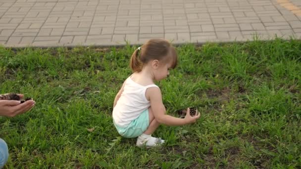 妈妈给她的孩子看松果。小女儿和妈妈在草坪上的公园里玩耍，收集球果。小孩走在绿草上。幸福童年的概念。幸福的家庭是带着孩子散步的. — 图库视频影像