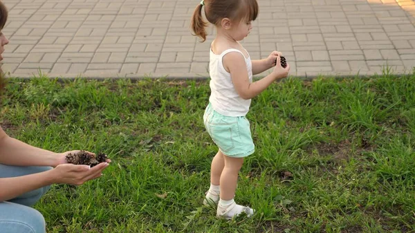 엄마는 새끼 손가락을 보여 줍니다. 어린 딸 과 어미는 공원 잔디밭에서 놀면서 콘을 모읍니다. 아이들은 푸른 잔디 위를 걷습니다. 행복 한 어린 시절에 대한 개념. 행복 한 가족 이 아이와 함께 걷고 있습니다. — 스톡 사진
