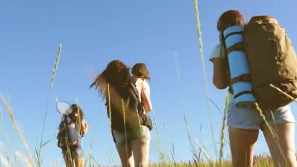 Les femmes et les filles libres voyagent dans les prairies alpines. Des voyageurs qui travaillent en équipe. voyageurs vont avec des sacs à dos à travers prairie. maman et filles, un petit bébé voyage à travers le champ avec des sacs à dos en couleurs en été . — Video