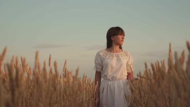 Chica joven y feliz corre en cámara lenta a través del campo, tocando espigas de trigo con su mano. Hermosa mujer libre disfrutando de la naturaleza bajo el cálido sol en un campo de trigo sobre un fondo al atardecer. Chica viaja. — Vídeos de Stock