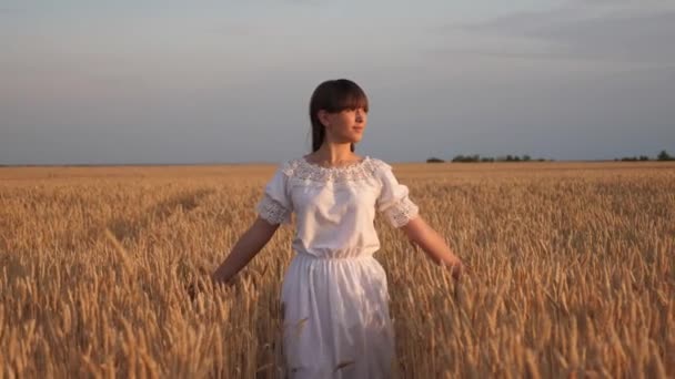 Chica joven y feliz corre en cámara lenta a través del campo, tocando espigas de trigo con su mano. Hermosa mujer libre disfrutando de la naturaleza bajo el cálido sol en un campo de trigo sobre un fondo al atardecer. Chica viaja. — Vídeos de Stock