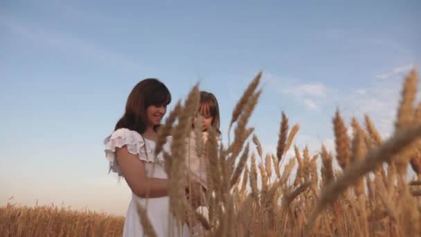 Máma a malá dcerka si hrají na poli zralých pšenice na slunci. matka chodí s dítětem v terénu s pšenicí. šťastné rodinné cesty. dítě v náručí matky. šťastný rodinný koncept. — Stock video