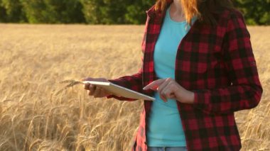 Farmer girl works with a tablet on a wheat field, plans a grain harvest. Woman agronomist with a tablet studies the wheat crop in the field. business woman plans her income in a wheat field.