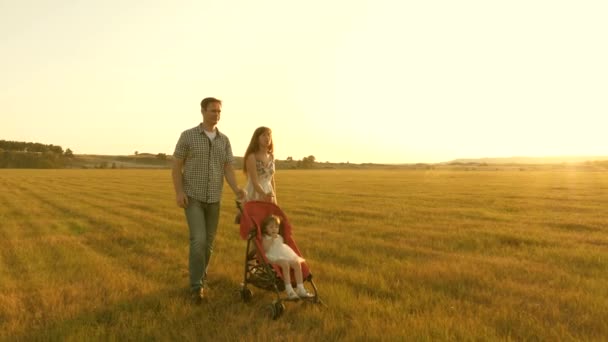 Promenade avec un petit enfant dans une poussette dans la nature. petite fille monte dans un landau dans le parc sur un fond de soleil. concept d'enfance et famille . — Video