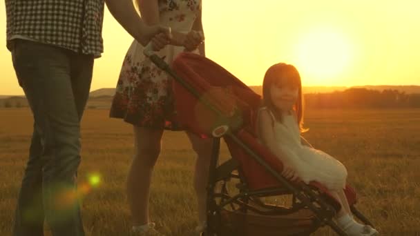 Piccola figlia cavalca in una carrozzina nel parco su uno sfondo di sole. infanzia e concetto di famiglia. Passeggiata con un bambino piccolo in un passeggino nella natura . — Video Stock