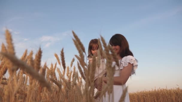 母親は小麦畑の子供と一緒に歩きます。ママの腕の中の赤ん坊。母と娘は太陽の下で熟した小麦の畑で遊んでいます。幸せな家族旅行だ。幸せな家族の概念. — ストック動画