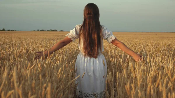 Joyeux jeune fille court au ralenti à travers le champ, touchant les oreilles de blé avec sa main. Belle femme libre profitant de la nature sous un soleil chaud dans un champ de blé sur un fond de coucher de soleil. Fille voyages. — Photo