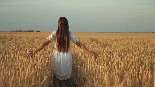 Glückliches junges Mädchen läuft in Zeitlupe über das Feld und berührt mit ihrer Hand Ähren. Schöne freie Frau genießt die Natur in warmem Sonnenschein in einem Weizenfeld vor Sonnenuntergang. Mädchen reist. — Stockfoto