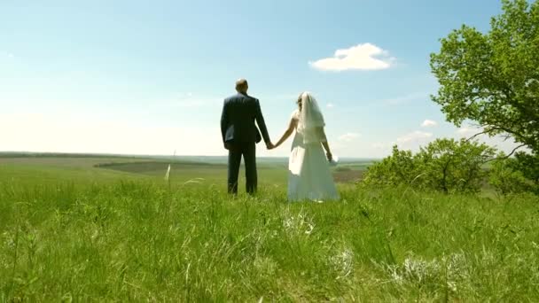 Liefdevolle man en vrouw lopen hand in hand. paar verliefd hand in hand en het bewonderen van de prachtige lucht in een groene weide. gelukkig familie reist in de zomer in een prachtig park. — Stockvideo