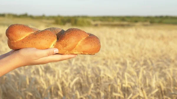 Pyszny świeży chleb z ręki na rękę na polu pszenicy. piekarz daje chrupiący bochenek chleba rolnikowi. bułka z makiem, chleb na palmach. — Zdjęcie stockowe