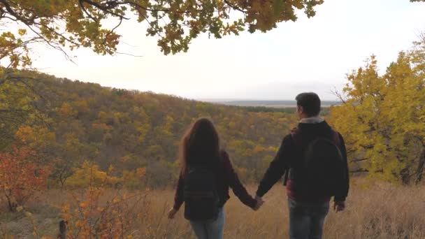 Sağlıklı turist erkek ve kadın el ele seyahat eder. Özgür gezginler, erkek ve kadınlar, dağın zirvesinden doğanın güzelliğinin tadını çıkarın, ellerinizi kaldırın ve sevinin. Takım çalışması gezginleri. — Stok video