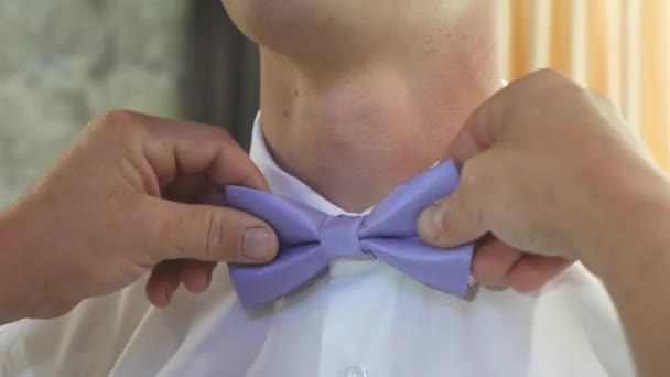 Крупным планом рукоятка человека исправляет синюю бабочку. Мужские платья бабочки на белой рубашке. Мужчина одевается для вечеринки. стильный джентльмен. модный стильный бизнесмен. мода и концепция стиля — стоковое видео