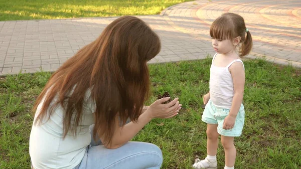 Mutter zeigt ihrem Kind Tannenzapfen. Kleine Tochter und Mutter spielen im Park auf dem Rasen und sammeln Zapfen. Kind geht auf grünem Gras. Konzept einer glücklichen Kindheit. Eine glückliche Familie geht mit einem Kind spazieren. — Stockfoto