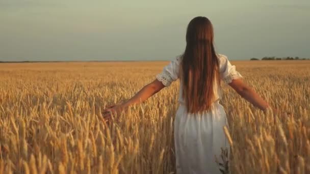 若い女の子は喜んで手の小麦の耳に触れるフィールドを介してスローモーションで歩く。美しいのんきな女性は、信じられないほどカラフルな夕日で小麦畑で自然と太陽の光を楽しんで — ストック動画