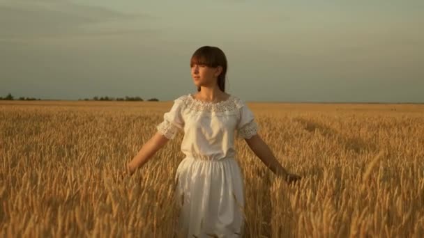 Una joven caminando felizmente en cámara lenta a través de un campo que toca con espigas de trigo de mano. Hermosa mujer despreocupada disfrutando de la naturaleza y la luz del sol en el campo de trigo al atardecer colorido increíble — Vídeos de Stock