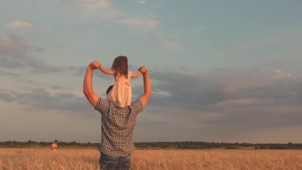 Happy family and childhood concept. little daughter on fathers shoulders. child and father are playing in a field of ripening wheat. baby boy and dad travel on field. kid and parent play in nature. — Stock Video