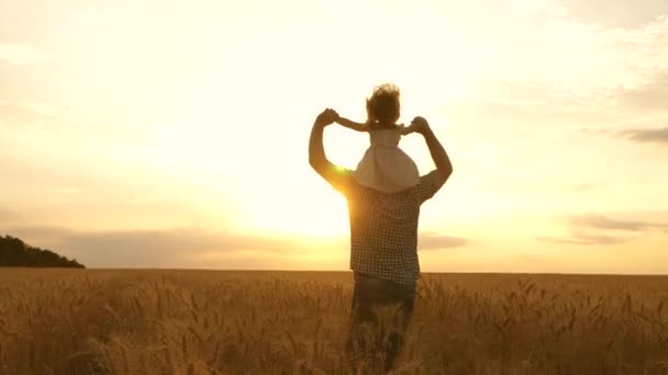 Glückliche Familie und Kindheit Konzept. Kleine Tochter auf den Schultern des Vaters. Kind und Vater spielen auf einem Feld reifenden Weizens. Junge und Vater reisen auf dem Feld. Kinder und Eltern spielen in der Natur. — Stockvideo