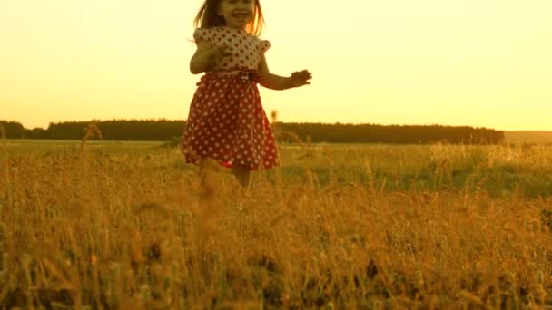 Смішна дитина грає в парку. концепція дітей та сім'ї. щаслива здорова маленька донька проходить через поле влітку під час заходу сонця. маленька красива весела дівчинка грає на лузі . — стокове відео