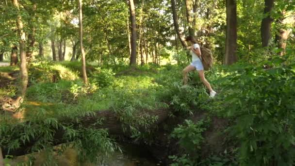 Joven y saludable turista cruza el río en un árbol caído. chica libre viajero cruza el río en un tronco. Una chica con una mochila se fue de excursión. hombre en busca de aventura. concepto de estilo de vida saludable — Vídeo de stock