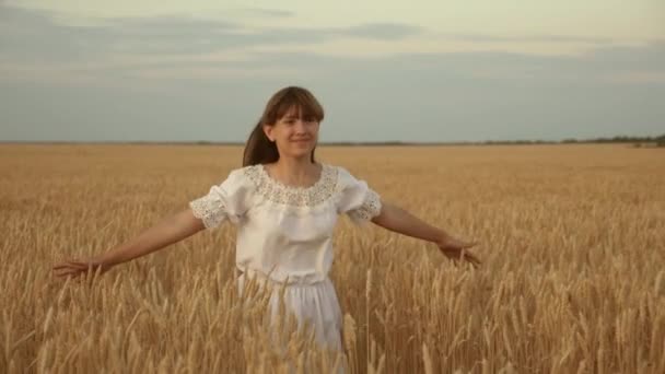 Ein schönes, freies, junges Mädchen läuft an einem Getreidefeld entlang und berührt ihre Hand mit reifen Weizenstacheln. Konzept von biologischer Ernte, Landwirtschaft und Wohlstand. Agrargeschäft. — Stockvideo