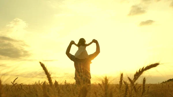 Figlioletta sulle spalle dei padri. bambino e papà viaggiano su un campo di grano. Il bambino e il genitore giocano in natura. famiglia felice e concetto di infanzia. Rallentatore — Foto Stock