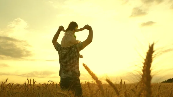 Little daughter on fathers shoulders. baby boy and dad travel on a wheat field. The child and parent play in nature. happy family and childhood concept. Slow motion — Stock Photo, Image