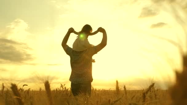 Hijita sobre hombros paternos. niño y papá viajan en un campo de trigo. El niño y los padres juegan en la naturaleza. familia feliz y concepto de la infancia. Movimiento lento — Vídeos de Stock