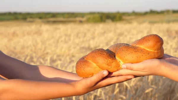 bun with poppy seeds, bread on the palms. yummy fresh bread from hand to hand on a field of wheat. a baker gives a crisp loaf of bread to a farmer.