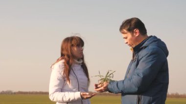 Takım çalışması işadamı. Bir tarım uzmanının ellerinde buğday filizleri. Tarlada çalışan çiftçi ve iş kadını ellerinde buğday fideleri tutuyorlar. Çevre dostu filizlenme.
