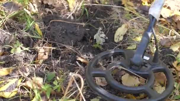 Un hombre con un detector de metales está buscando un tesoro. detector de metales en busca de metales en el campo. limpieza de minas. Aventurero viajero en busca de tesoros. primer plano — Vídeo de stock